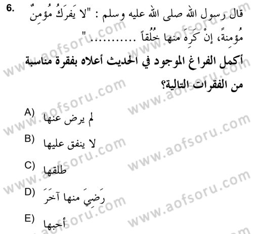 Hadis Dersi 2020 - 2021 Yılı Yaz Okulu Sınav Soruları 6. Soru
