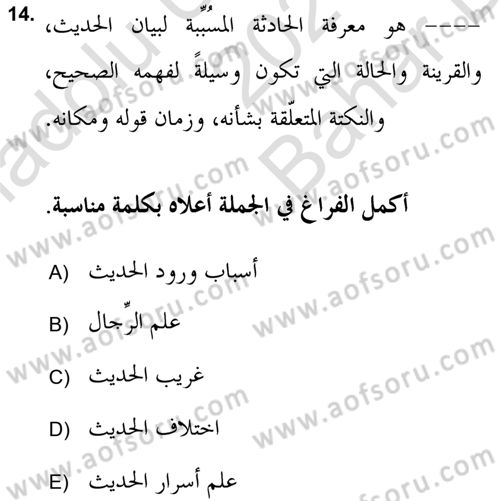 Hadis Dersi 2021 - 2022 Yılı (Vize) Ara Sınav Soruları 14. Soru