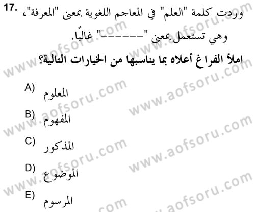 Hadis Dersi 2021 - 2022 Yılı (Vize) Ara Sınav Soruları 17. Soru