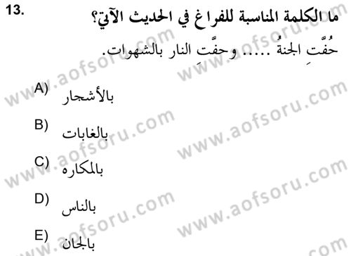 Hadis Dersi 2021 - 2022 Yılı (Final) Dönem Sonu Sınav Soruları 13. Soru