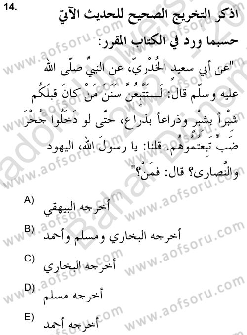 Hadis Dersi 2021 - 2022 Yılı (Final) Dönem Sonu Sınav Soruları 14. Soru