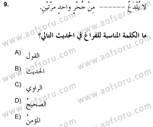 Hadis Dersi 2021 - 2022 Yılı Yaz Okulu Sınav Soruları 9. Soru