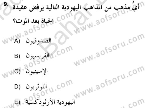 Yaşayan Dünya Dinleri Dersi 2021 - 2022 Yılı (Final) Dönem Sonu Sınav Soruları 9. Soru