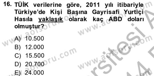 Dış Ticarete Giriş Dersi 2013 - 2014 Yılı (Vize) Ara Sınavı 16. Soru