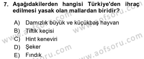 Dış Ticarete Giriş Dersi 2023 - 2024 Yılı Yaz Okulu Sınav Soruları 7. Soru