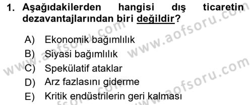 Dış Ticarete Giriş Dersi 2024 - 2025 Yılı (Vize) Ara Sınav Soruları 1. Soru