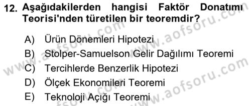 Dış Ticarete Giriş Dersi 2024 - 2025 Yılı Yaz Okulu Sınav Soruları 12. Soru