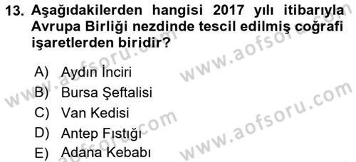 Dış Ticaretle İlgili Kurumlar ve Kuruluşlar Dersi 2018 - 2019 Yılı (Vize) Ara Sınav Soruları 13. Soru