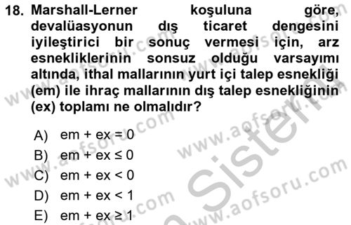 Uluslararası Ticaret Dersi 2018 - 2019 Yılı Yaz Okulu Sınav Soruları 18. Soru