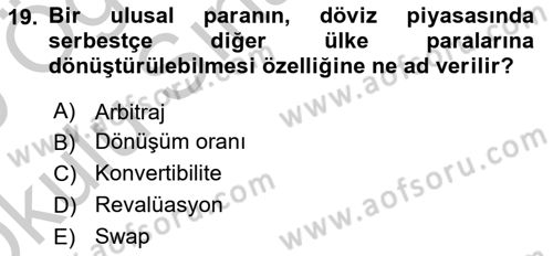 Uluslararası Ticaret Dersi 2018 - 2019 Yılı Yaz Okulu Sınav Soruları 19. Soru