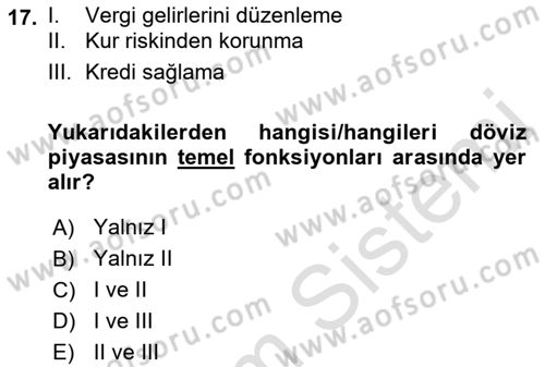 Uluslararası Ticaret Dersi 2021 - 2022 Yılı Yaz Okulu Sınav Soruları 17. Soru