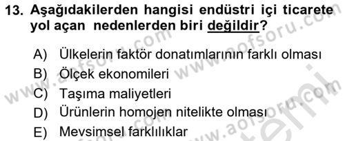Uluslararası Ticaret Dersi 2024 - 2025 Yılı (Vize) Ara Sınav Soruları 13. Soru