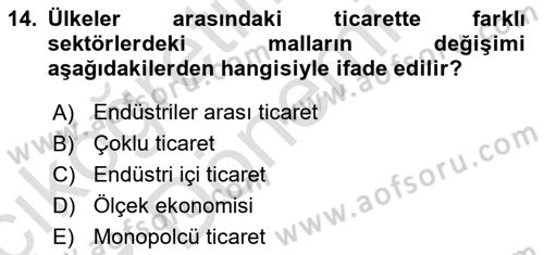 Uluslararası Ticaret Dersi 2024 - 2025 Yılı (Vize) Ara Sınav Soruları 14. Soru