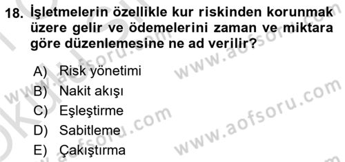 Dış Ticarette Girişimcilik Dersi 2020 - 2021 Yılı Yaz Okulu Sınav Soruları 18. Soru