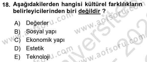Dış Ticarette Girişimcilik Dersi 2021 - 2022 Yılı Yaz Okulu Sınav Soruları 18. Soru