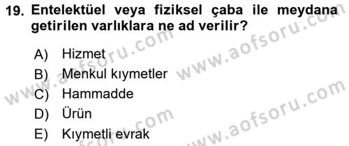 Dış Ticarette Girişimcilik Dersi 2021 - 2022 Yılı Yaz Okulu Sınav Soruları 19. Soru