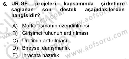 Dış Ticarette Girişimcilik Dersi 2022 - 2023 Yılı Yaz Okulu Sınav Soruları 6. Soru