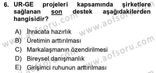 Dış Ticarette Girişimcilik Dersi Ara Sınavı Deneme Sınav Soruları 6. Soru