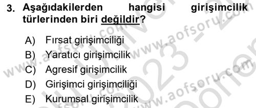 Dış Ticarette Girişimcilik Dersi 2023 - 2024 Yılı (Final) Dönem Sonu Sınav Soruları 3. Soru