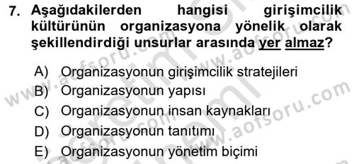 Dış Ticarette Girişimcilik Dersi 2024 - 2025 Yılı (Vize) Ara Sınav Soruları 7. Soru
