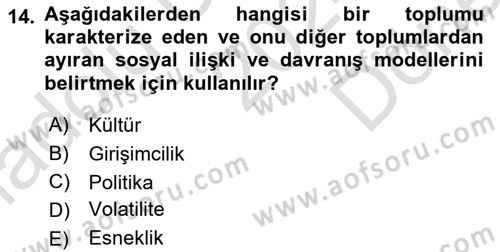 Dış Ticarette Girişimcilik Dersi 2024 - 2025 Yılı (Final) Dönem Sonu Sınav Soruları 14. Soru