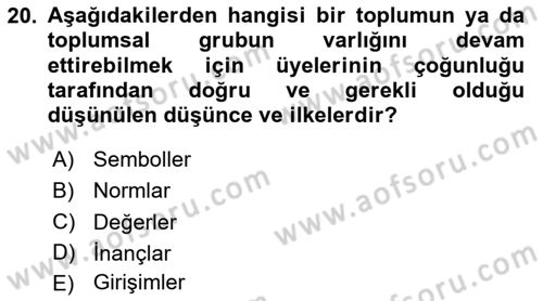 Dış Ticarette Girişimcilik Dersi 2024 - 2025 Yılı (Final) Dönem Sonu Sınav Soruları 20. Soru