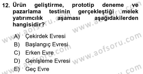Dış Ticarette Girişimcilik Dersi 2024 - 2025 Yılı Yaz Okulu Sınav Soruları 12. Soru