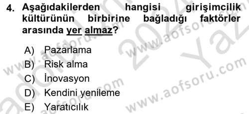 Dış Ticarette Girişimcilik Dersi 2024 - 2025 Yılı Yaz Okulu Sınav Soruları 4. Soru