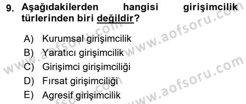 Dış Ticarette Girişimcilik Dersi 2025 - 2026 Yılı (Vize) Ara Sınav Soruları 9. Soru