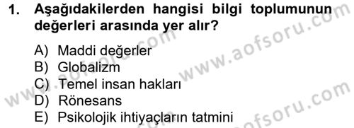 Dış Ticarette Bilgisayar Uygulamaları Dersi 2012 - 2013 Yılı (Final) Dönem Sonu Sınav Soruları 1. Soru