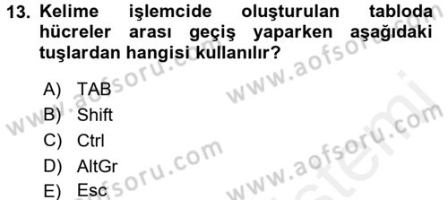 Dış Ticarette Bilgisayar Uygulamaları Dersi 2015 - 2016 Yılı (Vize) Ara Sınav Soruları 13. Soru