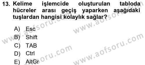 Dış Ticarette Bilgisayar Uygulamaları Dersi 2016 - 2017 Yılı (Vize) Ara Sınav Soruları 13. Soru
