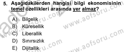Dış Ticarette Bilgisayar Uygulamaları Dersi 2016 - 2017 Yılı (Vize) Ara Sınav Soruları 5. Soru