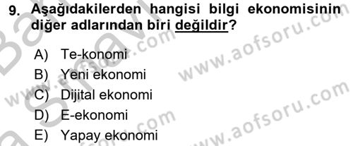 Dış Ticarette Bilgisayar Uygulamaları Dersi 2016 - 2017 Yılı (Vize) Ara Sınav Soruları 9. Soru