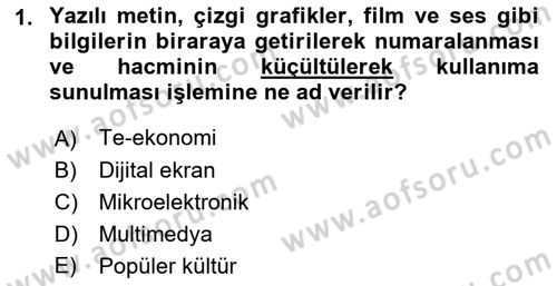 Dış Ticarette Bilgisayar Uygulamaları Dersi 2018 - 2019 Yılı (Vize) Ara Sınav Soruları 1. Soru