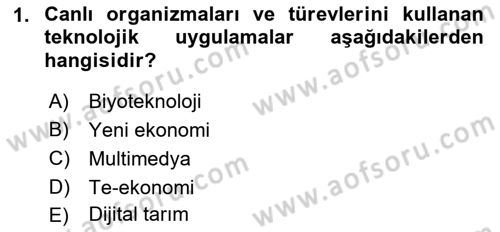 Dış Ticarette Bilgisayar Uygulamaları Dersi 2021 - 2022 Yılı (Vize) Ara Sınavı 1. Soru