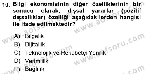 Dış Ticarette Bilgisayar Uygulamaları Dersi 2023 - 2024 Yılı (Vize) Ara Sınav Soruları 10. Soru