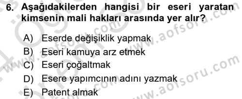 Elektronik Ticaret Dersi 2023 - 2024 Yılı (Final) Dönem Sonu Sınav Soruları 6. Soru