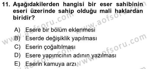 Elektronik Ticaret Dersi 2023 - 2024 Yılı Yaz Okulu Sınav Soruları 11. Soru