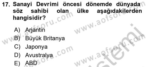 Dünya Ekonomisi Dersi 2016 - 2017 Yılı 3 Ders Sınav Soruları 17. Soru