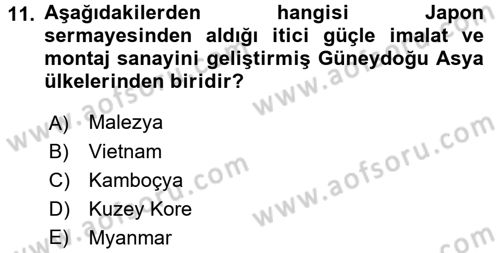 Dünya Ekonomisi Dersi Ara Sınavı Deneme Sınav Soruları 11. Soru