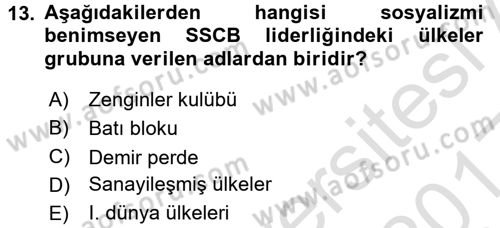 Dünya Ekonomisi Dersi Ara Sınavı Deneme Sınav Soruları 13. Soru