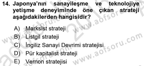 Dünya Ekonomisi Dersi 2016 - 2017 Yılı (Vize) Ara Sınav Soruları 14. Soru
