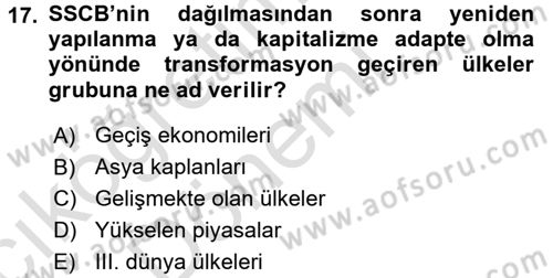Dünya Ekonomisi Dersi Ara Sınavı Deneme Sınav Soruları 17. Soru