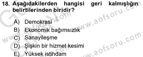 Dünya Ekonomisi Dersi Ara Sınavı Deneme Sınav Soruları 18. Soru