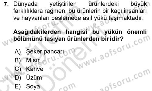 Dünya Ekonomisi Dersi Ara Sınavı Deneme Sınav Soruları 7. Soru