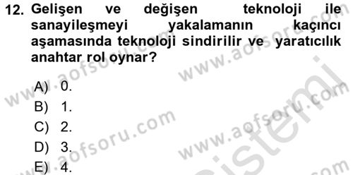 Dünya Ekonomisi Dersi 2017 - 2018 Yılı (Vize) Ara Sınav Soruları 12. Soru
