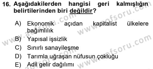Dünya Ekonomisi Dersi 2017 - 2018 Yılı (Vize) Ara Sınav Soruları 16. Soru