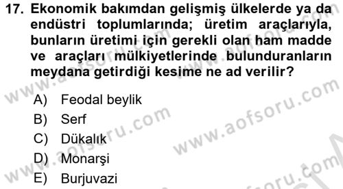 Dünya Ekonomisi Dersi 2017 - 2018 Yılı (Vize) Ara Sınav Soruları 17. Soru