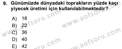 Dünya Ekonomisi Dersi 2017 - 2018 Yılı (Vize) Ara Sınav Soruları 9. Soru
